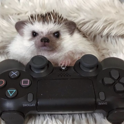 SofyaMarmeladova's avatar