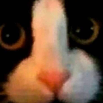 V-PrimalFear-V's avatar