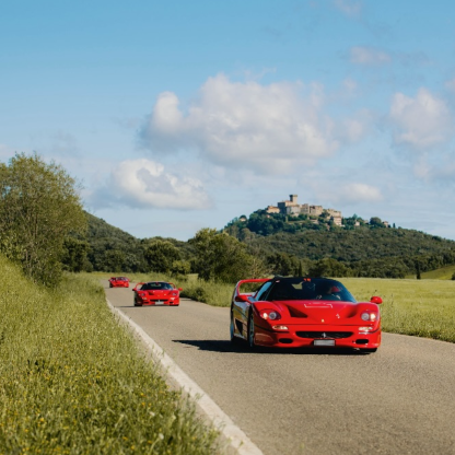 Danilovogels013's avatar