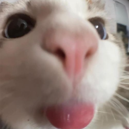 cihuy7's avatar
