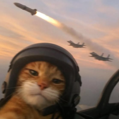 Kartoffeltorte's avatar