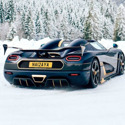 qx9yfimi5qjh's avatar