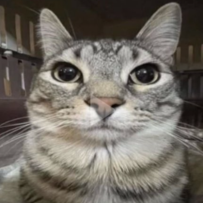 SoloqIsJustPain's avatar