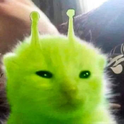 secretfroot's avatar