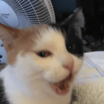 xVelocistar_237x's avatar