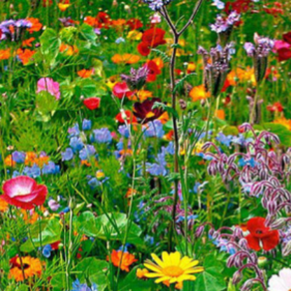 MetalCandleHand's avatar