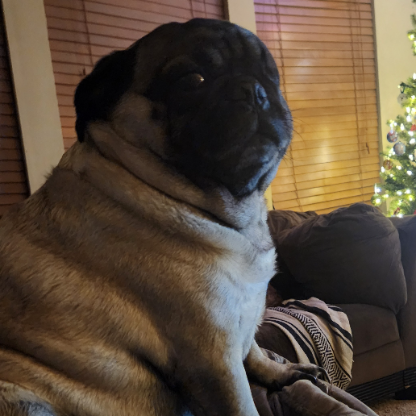 Twisted_Baffles's avatar