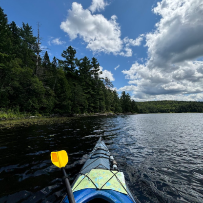 elliottomlinson's avatar