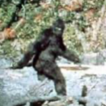 Chewie_Here's avatar