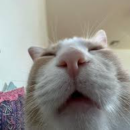 AntonioUNREAL's avatar