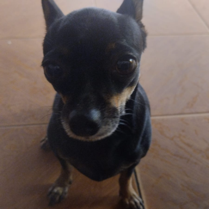DeXzinxarope's avatar