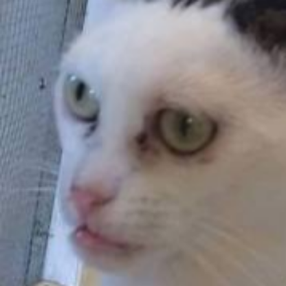 GucciRoadHead's avatar