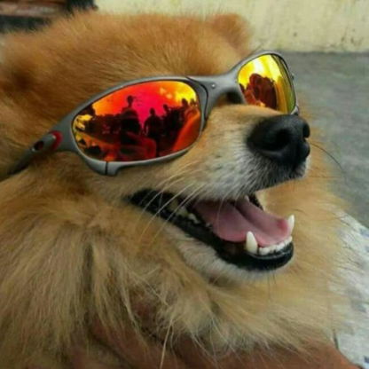 ARTHURZ1M23's avatar