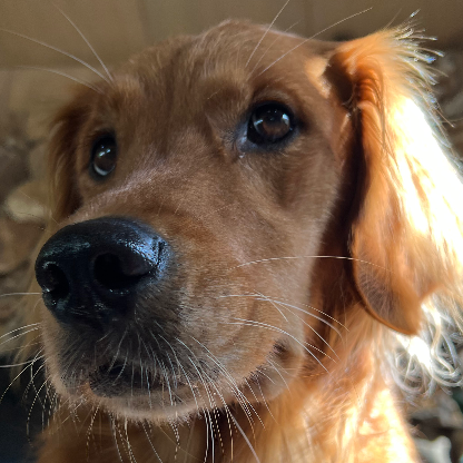 smileywatermelon's avatar