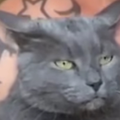Hzyz1's avatar