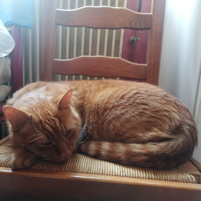 Nana_FE_2004's avatar