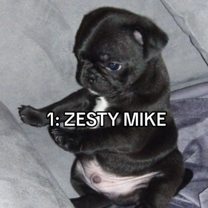 PipSqueaks2U's avatar