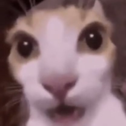 mayokes's avatar