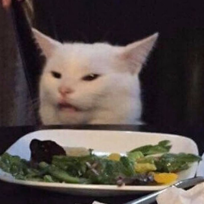 patientbeaver's avatar