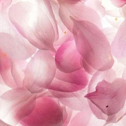 CinnamonCrunchhh's avatar