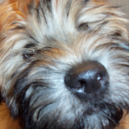 Juhangingout1's avatar