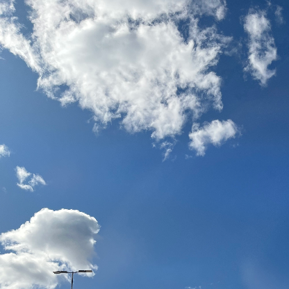 jasonshenkaka's avatar