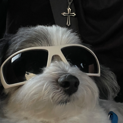Angelgotbored's avatar