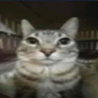 DamjeI's avatar