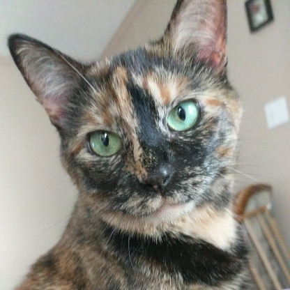 TabKat14's avatar