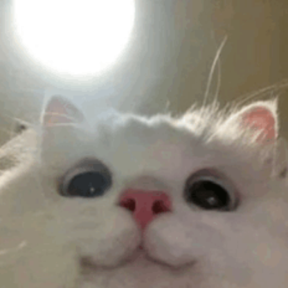 NotR1leyReid's avatar