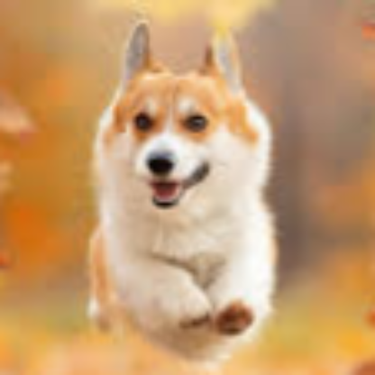 75bz6b5r00gl's avatar