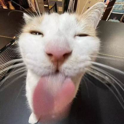 EnsooBensoo's avatar