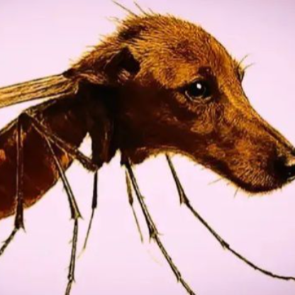 LIVEKHALEDFR1's avatar