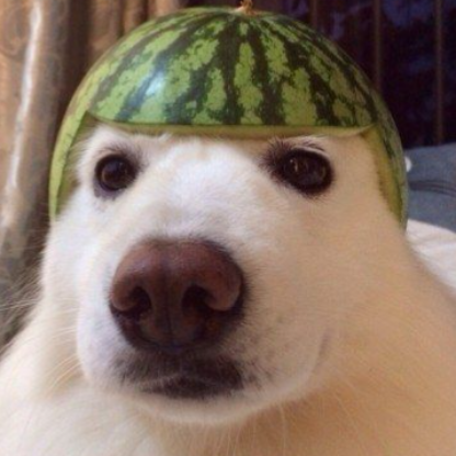 gungorsamet246's avatar