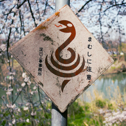 IvI4IvII_I5I-I1's avatar