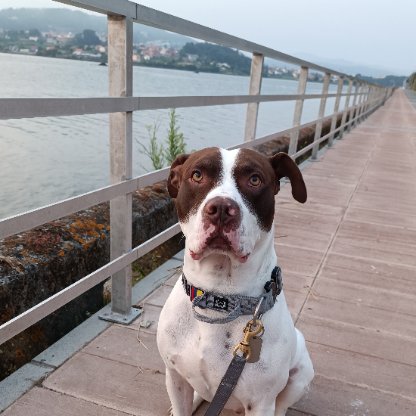 MarginalProduct0's avatar