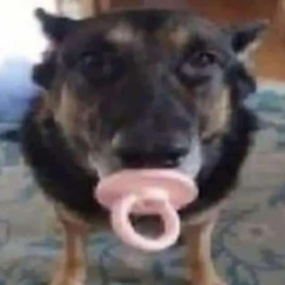 ThePitico's avatar