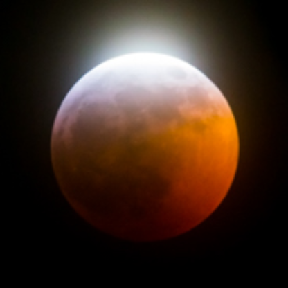 ZuluEcho01100101's avatar