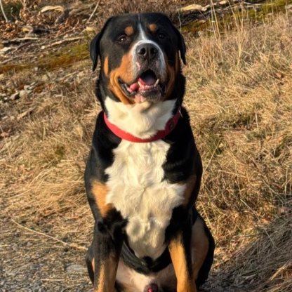 Killfreak92's avatar