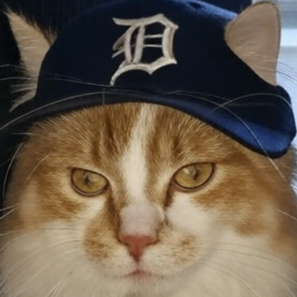 stevegomer19's avatar