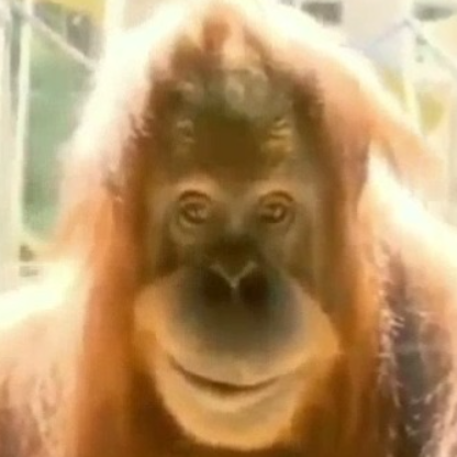 LockesyWocksy's avatar