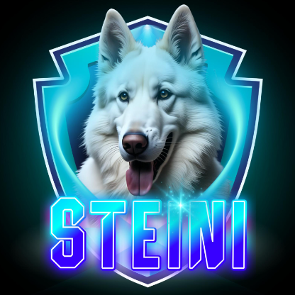 Steini-180's avatar