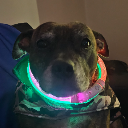 KREASE_1976's avatar