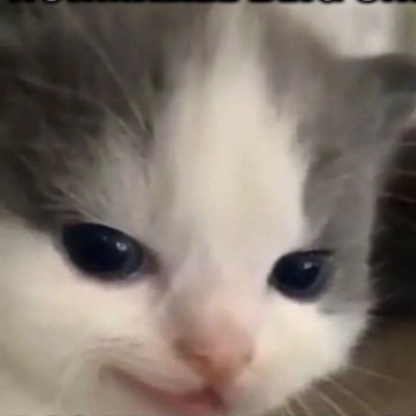 Smalleyeguy's avatar