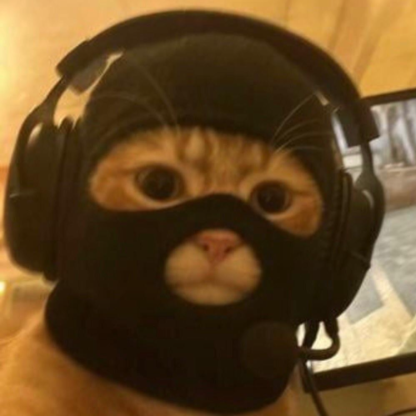 Amalsnich's avatar