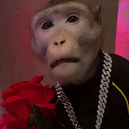 TheMistaChimp's avatar