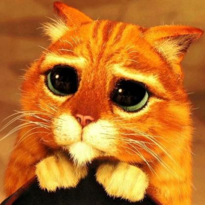 AnInnocentKitten's avatar