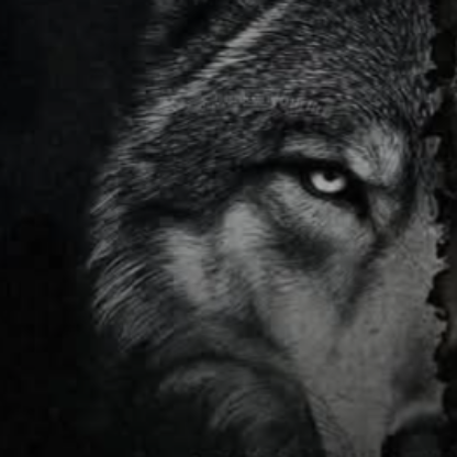 SQUIRRELLYGUNNER's avatar