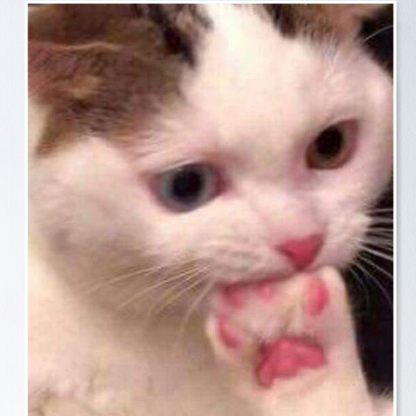 LittleeRookiee's avatar