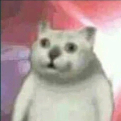 blargslap's avatar